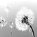 impulse-website